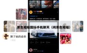 黑色蝙蝠图标手机聊天（纯黑色蝙蝠）