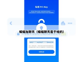 蝙蝠加聊天（蝙蝠聊天是干啥的）
