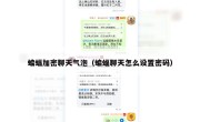 蝙蝠加密聊天气泡（蝙蝠聊天怎么设置密码）