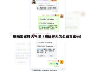 蝙蝠加密聊天气泡（蝙蝠聊天怎么设置密码）