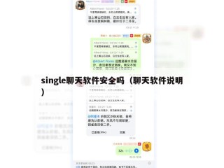 single聊天软件安全吗（聊天软件说明）