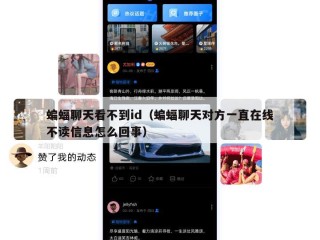 蝙蝠聊天看不到id（蝙蝠聊天对方一直在线不读信息怎么回事）