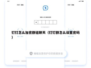 钉钉怎么加密群组聊天（钉钉群怎么设置密码）