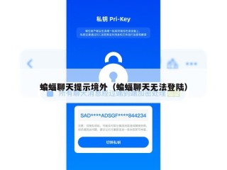 蝙蝠聊天提示境外（蝙蝠聊天无法登陆）