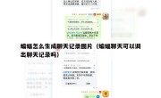 蝙蝠怎么生成聊天记录图片（蝙蝠聊天可以调出聊天记录吗）