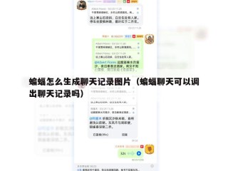 蝙蝠怎么生成聊天记录图片（蝙蝠聊天可以调出聊天记录吗）