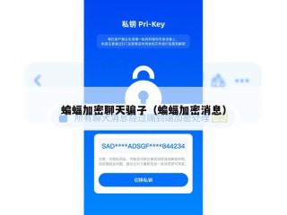 蝙蝠加密聊天骗子（蝙蝠加密消息）