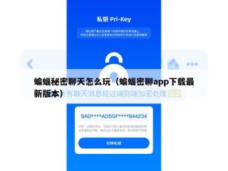 蝙蝠秘密聊天怎么玩（蝙蝠密聊app下载最新版本）