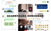 隐私加密聊天怎么取消（如何取消隐私加密）