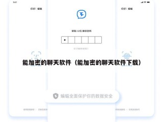 能加密的聊天软件（能加密的聊天软件下载）