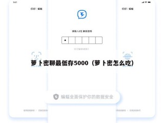 萝卜密聊最低存5000（萝卜密怎么吃）