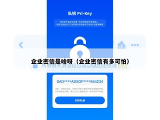 企业密信是啥呀（企业密信有多可怕）