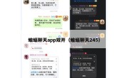 蝙蝠聊天app双开（蝙蝠聊天245）