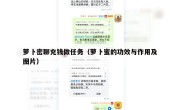 萝卜密聊充钱做任务（萝卜蜜的功效与作用及图片）
