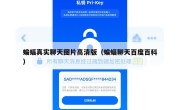 蝙蝠真实聊天图片高清版（蝙蝠聊天百度百科）