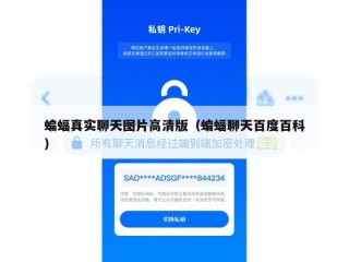 蝙蝠真实聊天图片高清版（蝙蝠聊天百度百科）