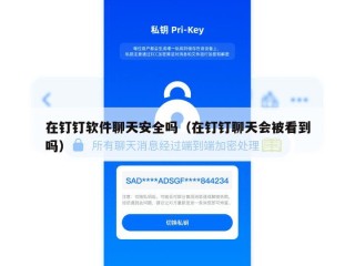 在钉钉软件聊天安全吗（在钉钉聊天会被看到吗）