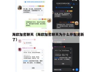 海欧加密聊天（海欧加密聊天为什么停服更新了）