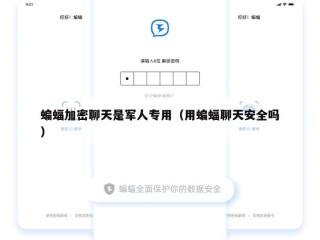 蝙蝠加密聊天是军人专用（用蝙蝠聊天安全吗）