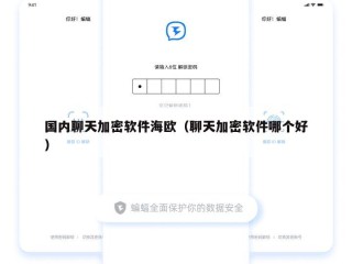 国内聊天加密软件海欧（聊天加密软件哪个好）