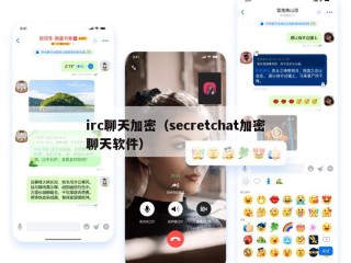 irc聊天加密（secretchat加密聊天软件）