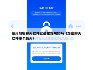 使用加密聊天软件就是主观明知吗（加密聊天软件哪个最火）