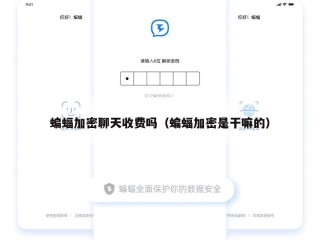 蝙蝠加密聊天收费吗（蝙蝠加密是干嘛的）