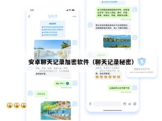 安卓聊天记录加密软件（聊天记录秘密）