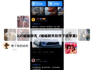 iOS蝙蝠聊天（蝙蝠聊天软件下载苹果）