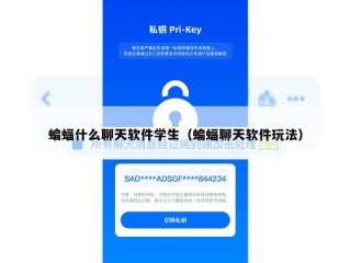 蝙蝠什么聊天软件学生（蝙蝠聊天软件玩法）