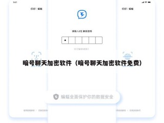 暗号聊天加密软件（暗号聊天加密软件免费）