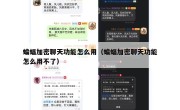 蝙蝠加密聊天功能怎么用（蝙蝠加密聊天功能怎么用不了）