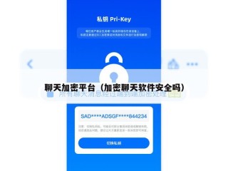 聊天加密平台（加密聊天软件安全吗）