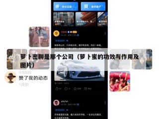 萝卜密聊是那个公司（萝卜蜜的功效与作用及图片）