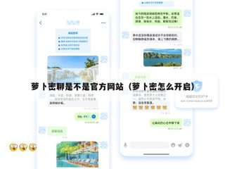 萝卜密聊是不是官方网站（萝卜密怎么开启）
