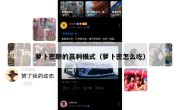 萝卜密聊的赢利模式（萝卜密怎么吃）