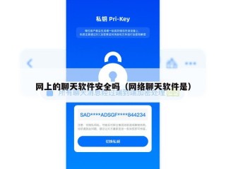 网上的聊天软件安全吗（网络聊天软件是）
