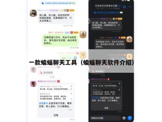 一款蝙蝠聊天工具（蝙蝠聊天软件介绍）