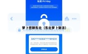 萝卜密聊东北（东北萝卜做法）