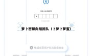 萝卜密聊向阳团队（卜萝卜萝蜜）