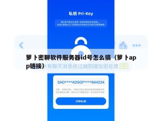 萝卜密聊软件服务器id号怎么搞（萝卜app链接）