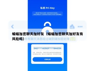 蝙蝠加密聊天加好友（蝙蝠加密聊天加好友有风险吗）