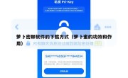 萝卜密聊软件的下载方式（萝卜蜜的功效和作用）