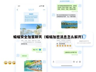 蝙蝠安全加蜜聊天（蝙蝠加密消息怎么解开）