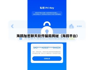 海鸥加密聊天软件骗局揭秘（海鸥平台）