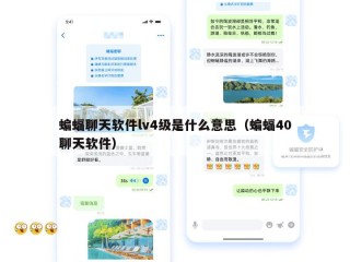 蝙蝠聊天软件lv4级是什么意思（蝙蝠40聊天软件）