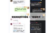 蝙蝠蝙蝠聊天蝙蝠（“蝙蝠聊天”）