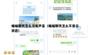 蝙蝠聊天怎么没有声音（蝙蝠聊天怎么不显示状态）