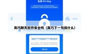 真巧聊天软件安全吗（真巧下一句接什么）