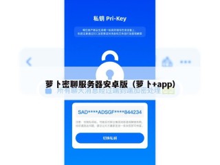 萝卜密聊服务器安卓版（萝卜+app）